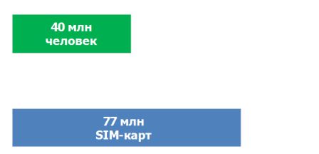 Суммарная российская аудитория мобильного интернет-доступа, 2012